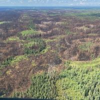 Wide aerial of forest burn from above.