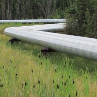 Pipeline going through a wetland.