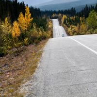 Paved highway going through a forested area.