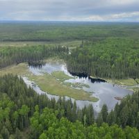 Aerial view of boreal forest with a river running through it.