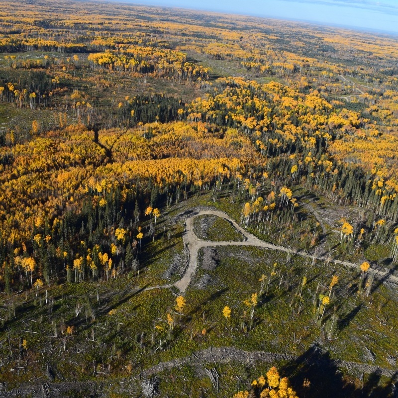 Summary of Land Base Change