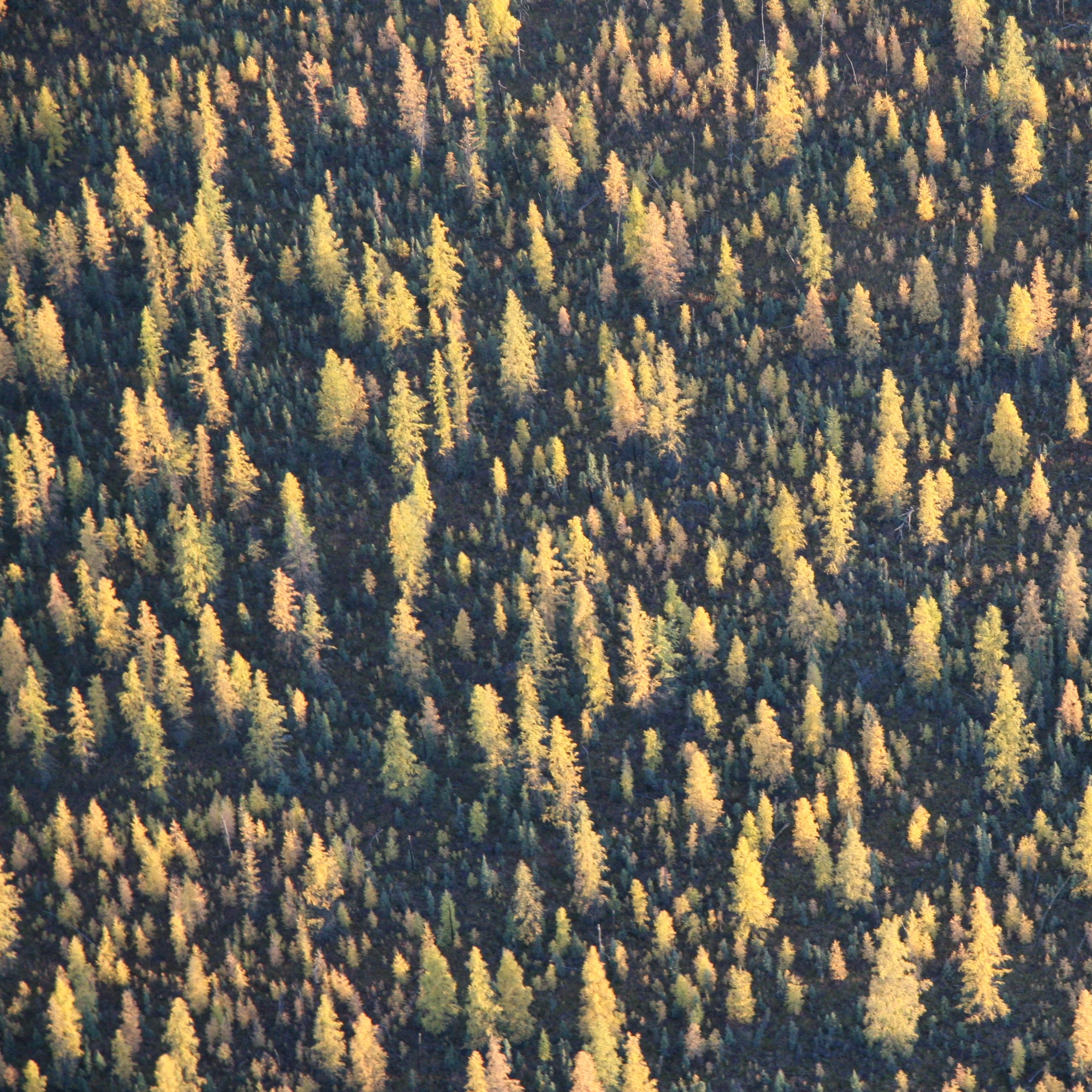 Status of the Natural Landscape